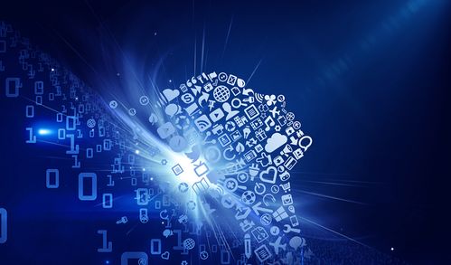 探碼網(wǎng)絡(luò)大數(shù)據(jù)之電商數(shù)據(jù)采集分析 網(wǎng)絡(luò)技術(shù)開(kāi)發(fā)賦能智慧商業(yè)